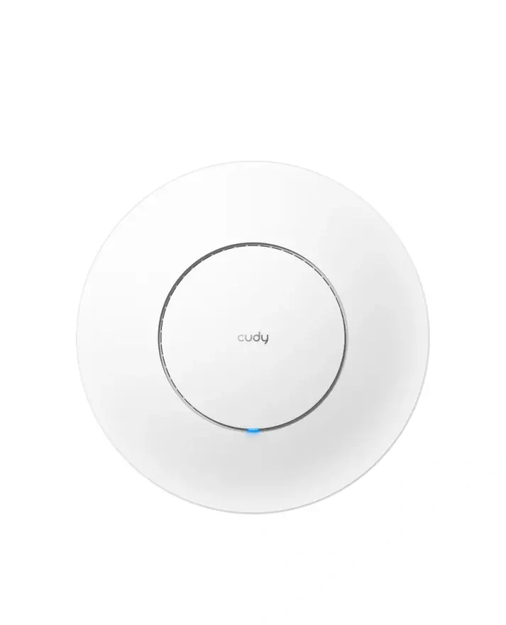 Access Point AP1300